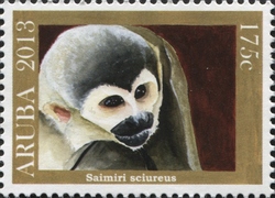 Saimiri sciureus