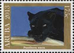 Panthera onca