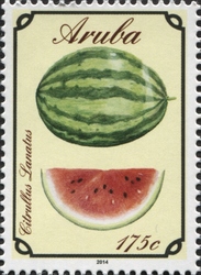 Citrullus lanatus