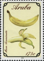Musa acuminata