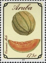Cucumis melo