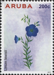 Linum lewisii