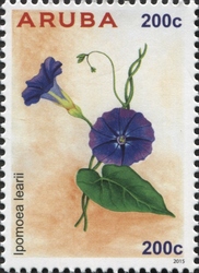 Stamp, Ipopmoea learii, Aruba,  , Flora, Flowers