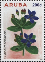 Guaiacum officianale