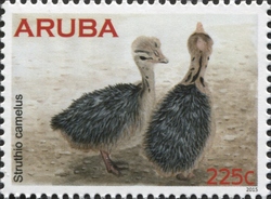 Ostrich