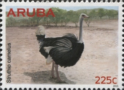 Ostrich