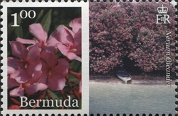 Stamp, Part 2, Bermuda,  , Flora, Flowers