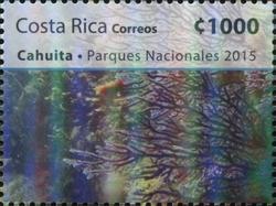 Coral Reefs