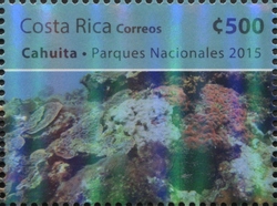 Coral Reefs
