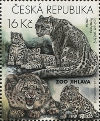 Zoological Gardens I