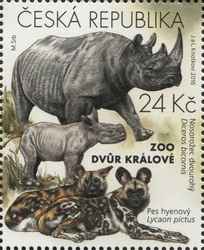 Zoological Gardens I