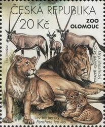 Zoological Gardens I