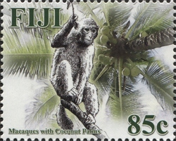 2016 The Year of the Monkey