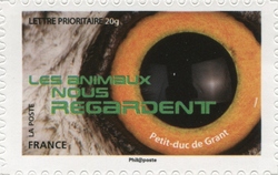 Stamp, Animals are watching us, France,  , Fauna