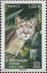 Florida Panther