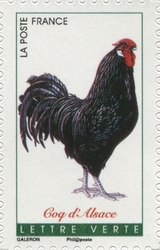 French Roosters