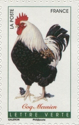 French Roosters