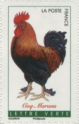 French Roosters