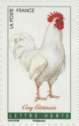 French Roosters