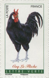 French Roosters