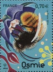 Osmia