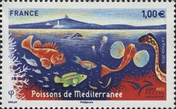 Fishes of the Mediterranean