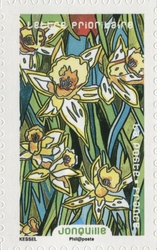 Flowers in Lavish Abundance