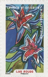 Flowers in Lavish Abundance