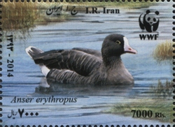 Stamp, Lesser White-fronted Goose, Iran,  , Fauna, Birds, WWF, Environment and Conservation
