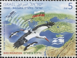 Bird Migration