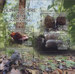 Mini Sheet, World Environment Day - Mushrooms, Turkey,  