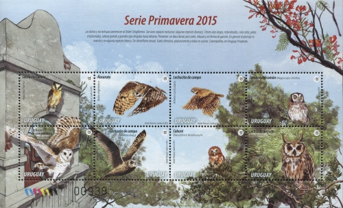 Spring Series - Owls