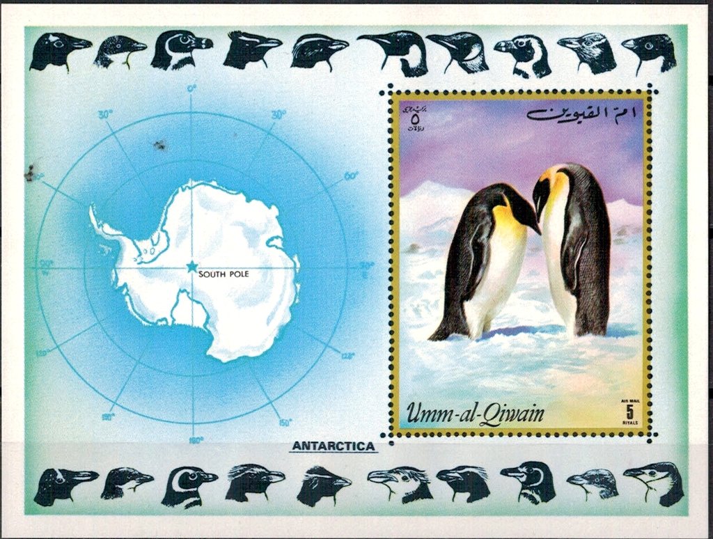 Emperor Penguin (Aptenodytes forsteri)