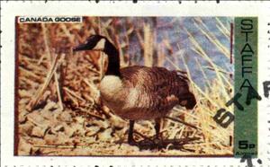 Stamp, Canada Goose, Cinderellas,  , Birds
