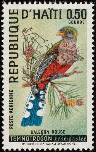 Temnotrogon