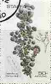 Stamp, Flowers, Cinderellas,  , Flowers