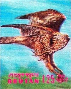 Stamp, Hawk, Bhutan,  , Birds