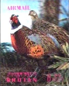 Stamp, Pheasant, Bhutan,  , Birds