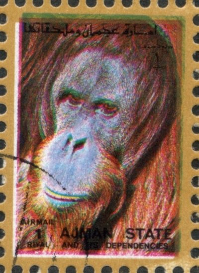 Orang Utan