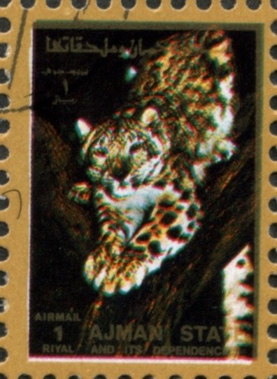 Leopard