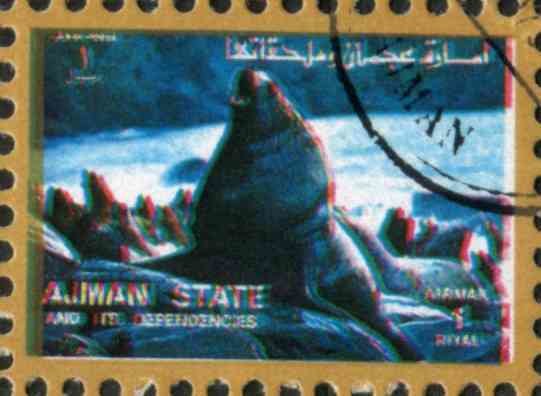 Sea lion
