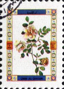 Stamp, Roses, Umm al-Qiwain,  , Flowers