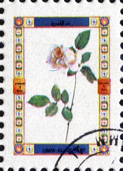 Roses