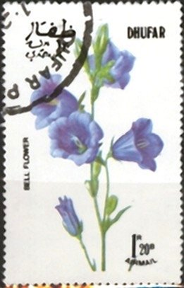Bell Flower