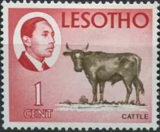 King Moshoeshoe II and Cattle (Bos primigenius taurus)