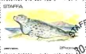Fauna
