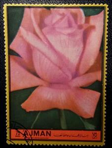 Stamp, Rose, Ajman,  , Flowers, Roses