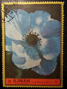 Stamp, Poppy anemone, Ajman,  , Flowers