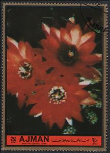 Stamp, Calendula officinalis, Ajman,  