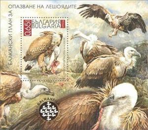 Souvenir Sheet, Griffon Vulture (Gyps fulvus), Bulgaria,  , Birds, Philatelic Exhibitions, Birds of Prey, Animals (Fauna)